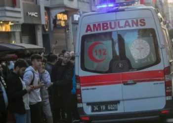 Ngjarje tragjike! Nëna dhe dy fëmijët e m*tur humbin jetën, dyshohet se janë helmuar nga…