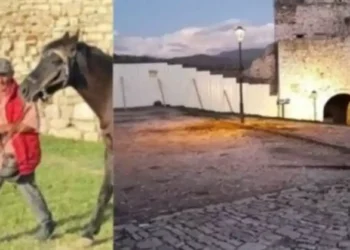 Për një foto me kalin, i mori jetën 42-vjeçarit para familjes, dëshmia e autorit: Më acaroi sepse …