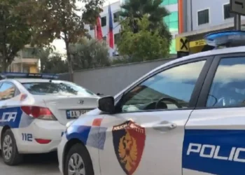 Sapo kishte dalë nga burgu,Pl*gosje me thikë në vend, i riu në gjendje të rëndë…