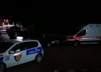 Thellohet dhimbja! 36 vjecari vuante nga epilespia, hapi krahun dhe ndërroi jetë në makinë