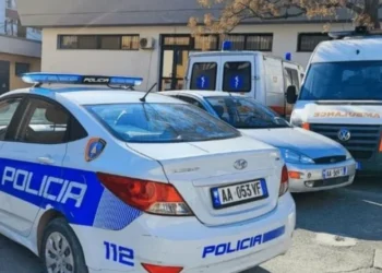 Ngjarje e tmerrshme! U dëmtua teksa po punonte me fresibël, humb jetën burri në vend