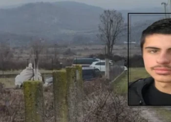 ‘Pa dicka që nuk duhet…’ gazetarja e njohur hedh hipoteza: Kush e mori jetën e Pavlinit në lule të rinisë?