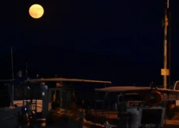 Hëna e Re e 23 Gushtit, cilat janë 3 shenjat që do të ndikohen më shumë, ja ku duhet të tregoni kujdes