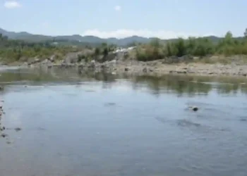 DETAJE nga TRAGJEDIA/ Dy vikt*mat e mitur ishin vëllezër NJERI 8 VJEC tjetri vetem…U futën në lumë së bashku me nënën e tyre!