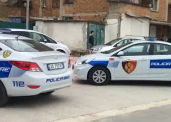 Ngjarje tr*nditëse! Qytetari tenton të vetëd*gjet, lyhet me benzinë dhe i vè…