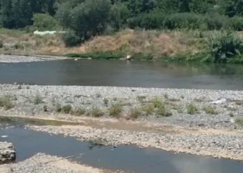 Si dy engjëj/ Del fotoja, këto janë dy vëllezërit e m*tur që u mbytën në lumin e Shkumbinit