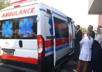 Ngjarje fatale! Djali ther me th*kë kushërirën dhe më pas veten, detajet e para