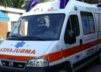 E TMERRSHME! Një tjetër v*ktimë në vend nga fot*ksina/ Burri i jep fund jetës pasi konsumoi…