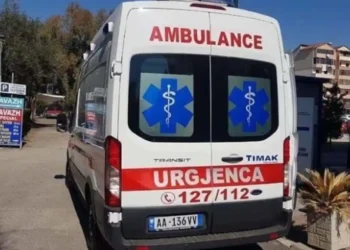 Qytetari go*itet nga polici bashkiak, efektivi i dh*non edhe bashkëshorten shtatzëne bashkë me n…
