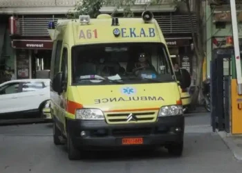 E trishtë: Nuk e përballoi humbjen e fëmijëve dhe i dha fund jetës