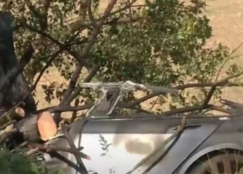 TRAGJIKE! Digjen të gjallë një burrë e 2 fëmijë pas aksidentit me makinë (DETAJE)