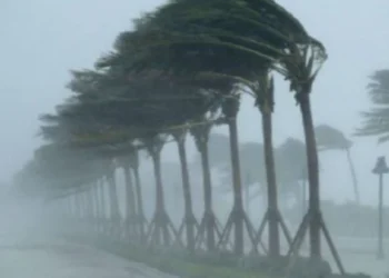 Moti drejt fenomenit të pazakontë! Ekspertët: Mund të kemi një “Super El Niño” gjatë verës