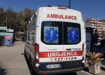 Makina del nga rruga në aksin Shëngjin-Velipojë, plagosen 4 anëtarë të një familjeje