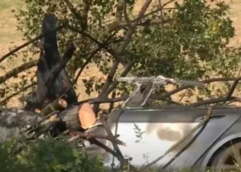 Aksident fatal! 43-vjeçari dhe dy fëmijët humbin jetën  brenda makinës, dyert e makines nuk u hapen.