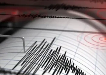 Termeti i fortë g*det oqeanin Atlantik, lëkundjet u ndjenë në Argjentinë dhe Kili, paralajmërime për cunami