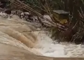 Situat e rëndë në vend! Fermerët në lot ‘Më kanë ngordhur 120 dhi, 60 keca dhe..’ Rëndohet bilanci në Jug!