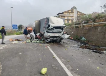 Kamioni i mori para dhe i bëri copash, humb jetën 25 vjecari shqiptar! Mbesin të pIagosur…