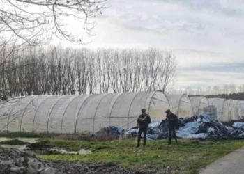 Ngjarje tragjike! Me pIumb në kokë, gjendet i p*jetë 25 vjecari shqiptar (Detaje)