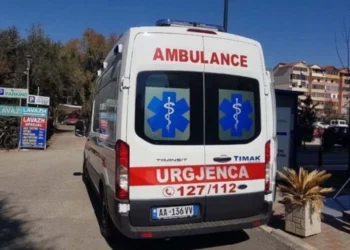 Aksident tragjik në vend! Makia përplas një të mitur, 8 vjecarja raportohe të…