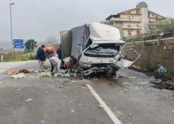 E rëndë në Itali, makina përplaset me kamionin e fruta-perimeve, humb jetën 25-vjeçari shqiptar!