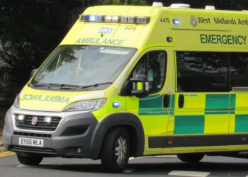 TRAGJIKE! Vëllezërit vr*sin motrën dhe partnerin e saj, shkak lidhja ndërfetare