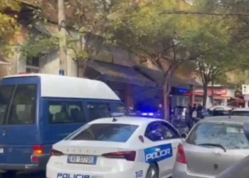 Tragjedia në kryeqytet/ “Më ofendonte çdo ditë”, zbardhet dëshmia e autorit: E vr*v* sepse …