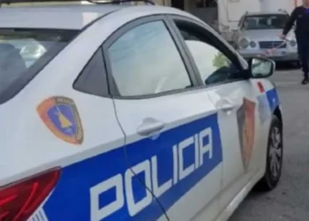 U dh*nua dhe u godit për vd*kje me thikë, ky është 51-vjeçari që u gjet i m*sakruar në banesën e tij…