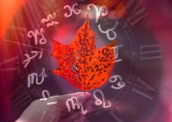 Vjeshtë e ARTE vetëm për këto shenja! Yjet do ju surprizojnë, mezi e keni pritur këtë ditë!