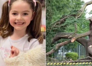 Tragjike! Pema bie mbi 5 fëmijë shqiptarë, humb jetën 7-vjeçarja, motra e saj ne gjendje te rende!