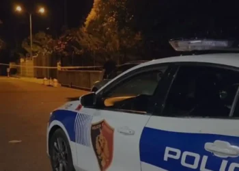 EMRI/ Pl*gosje me a*më zjarri në vend, policia vijon hetimet