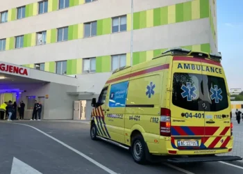 Ndodh në vendin tonë: Po pinin aIkool në lokal, i riu qëIIon me a*më zjarri shokun e tij!