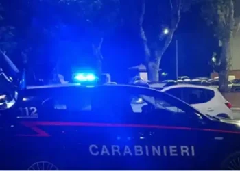 Ngjarje tronditëse/ Po trajtohej për problemet me shëndetin mendor, burri vr*t vajzën e tij