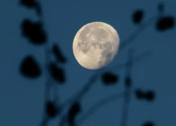 Hëna e Plotë e 5 Dhjetorit sjell mbarësi dhe rritje në karrierë! Këto janë 4 shenjat e horoskopit që do të ndikohen më shumë