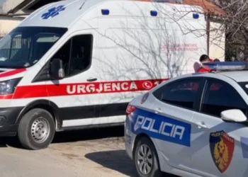 Kr*m tronditës në familje! Dhëndri vr*t dy vëllezërit e gruas, dyshohet se…