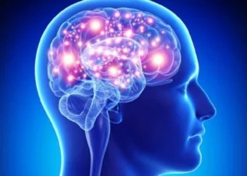 5 ushqimet me te mira per trurin: Ja ne cilen ore duhen konsumuar