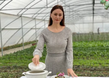 Mund të ndihmojë në uljen e nivelit të sheqerit në gjak…/ Sipas Blerina Bombaj kjo bime eshte shume e mire edhe per Melcine