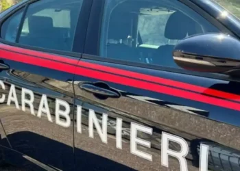 Xheloz dh*nonte gruan, arrestohet 32-vjeçari shqiptar në Itali…