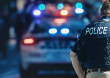 Ngjarje e paprecedentë! Rrëmbehet vajza para shtëpisë, kalimtari ndjek autorin dhe rikthen vajzën te familja