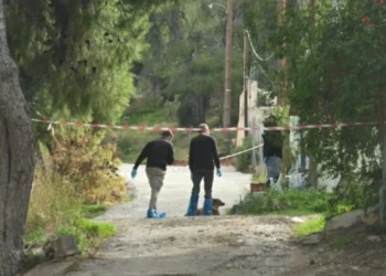 Ngjarje tronditëse: Nusje m*sakron për vd*kje vjehrrën e saj, arsyeja do ju SHOKOI!