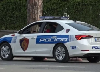 Ngjarje e rëndë në vend/ Djali sulmon me th*kë nënën e tij, gruaja në gjendje të rëndë