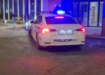 Ne lule te Rinise/ Del foto e dy motrave qe humben jeten tragjikisht ne aksident