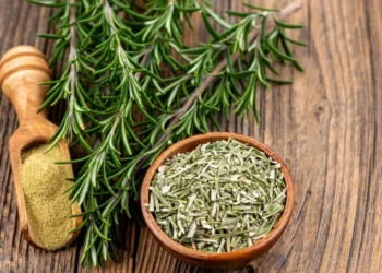 5 përfitimeve të rozmarinës: ilaçe natyrale për shëndetin dhe mirëqenien tuaj