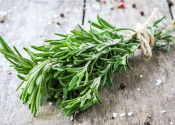 Cilat janë përfitimet e rozmarinës?! Njihuni me disa prej tyre që do t’ju nevojiten vërtet…
