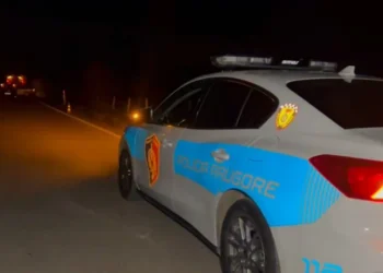 “Ish efektiv i policisë, 20 vite më parë vr*u kushëririn”/ Detaje mbi të shkuarën e 65-vjeçarit që u vra në Vaun e Dejës