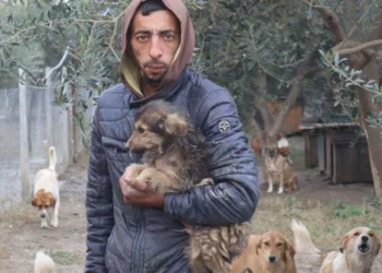 Jetoi me qentë, vd*q mes tyre/ Ndërron jetë në kasollen e varfër Fredi, kujdesej për 200 qen endacakë!