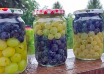 Menyra se si mund te ruani rrushin dhe ta konsumoni ate kur te doni me pas