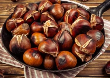 Nga përmirësimi i funksioneve të trurit tek shëndeti i zemrës, ja përfitimet shëndetësore të gështenjës