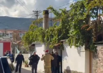 TRAGJIKE ne Vedn /Bie Zjarr ne banese humb jeten nëna, edhe djali 14-vjeçar: DETAJE