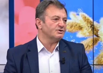 Alarm nga trombocitet e larta? Ç’do të thonë dhe s’i ti mbani në kontroll / Ylli Merja jep kuren natyrale…