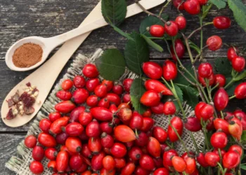 Kura me 8 kokrra trëndafil të egër, një shërim për organizmin tuaj